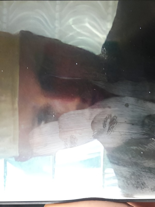 Тамара привлекательная девушка из Котласа цена от 10000 руб